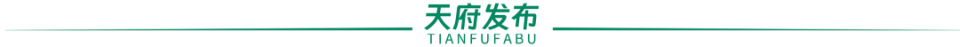 他说